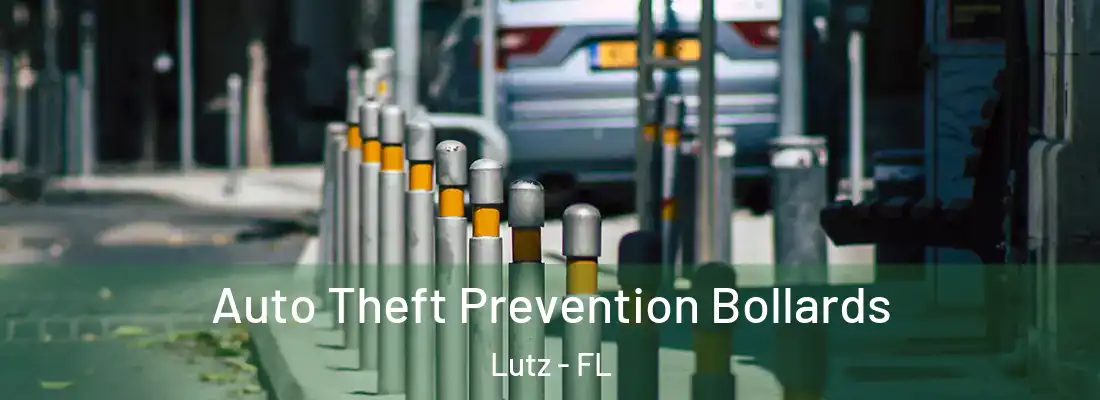  Auto Theft Prevention Bollards Lutz - FL