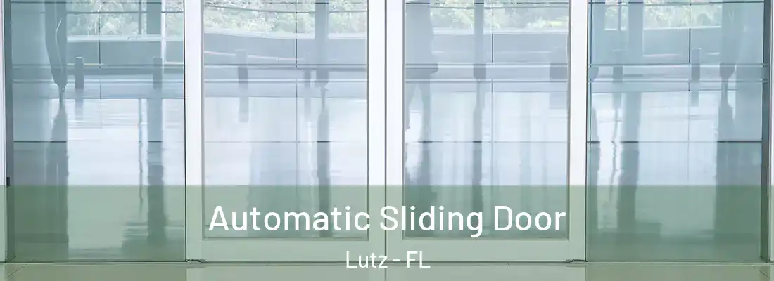  Automatic Sliding Door Lutz - FL