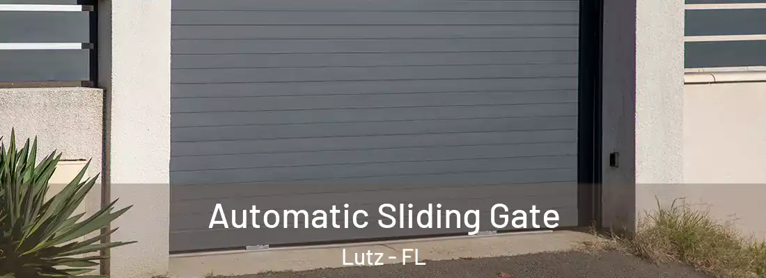  Automatic Sliding Gate Lutz - FL