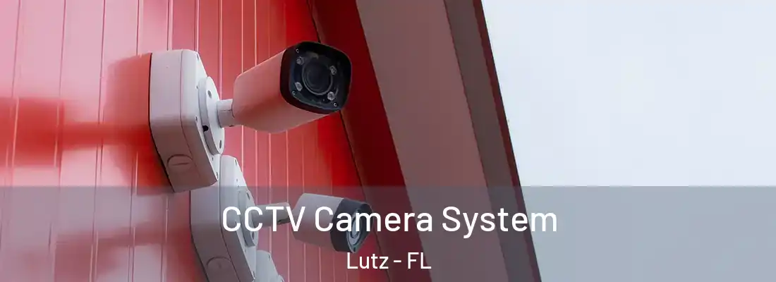 CCTV Camera System Lutz - FL