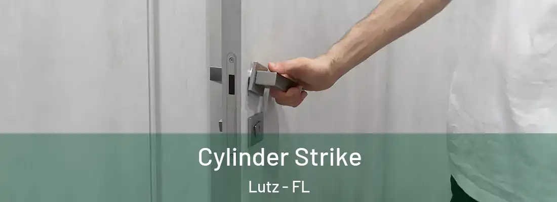  Cylinder Strike Lutz - FL