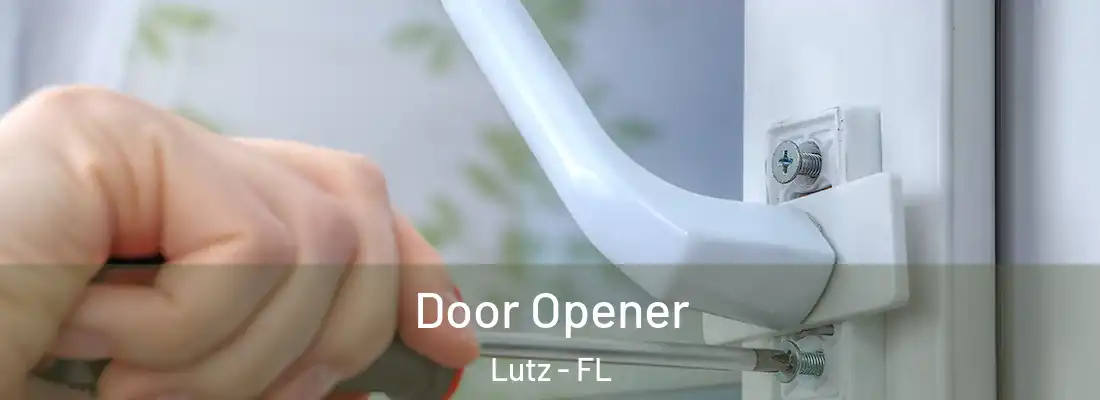  Door Opener Lutz - FL