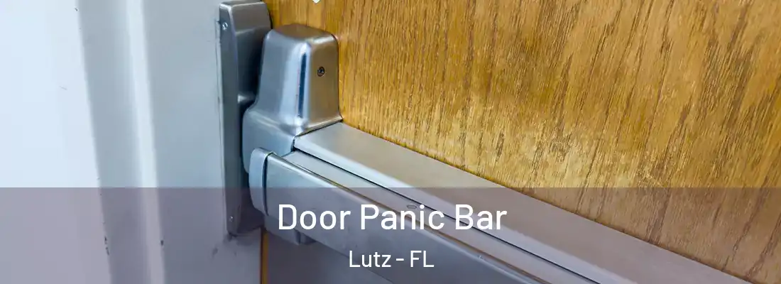 Door Panic Bar Lutz - FL
