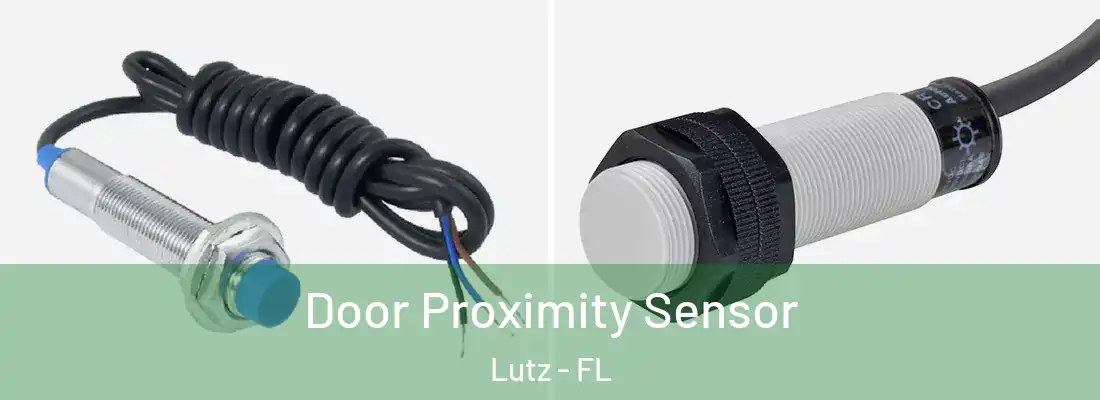  Door Proximity Sensor Lutz - FL