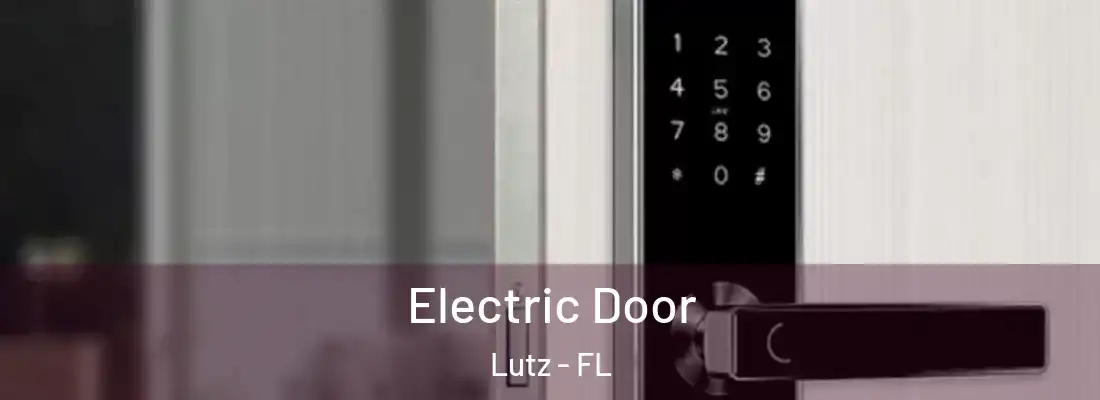  Electric Door Lutz - FL