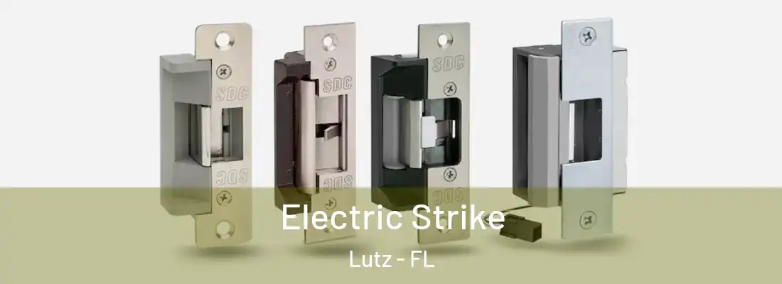  Electric Strike Lutz - FL