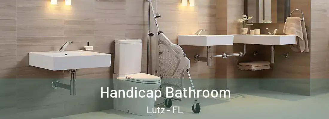  Handicap Bathroom Lutz - FL