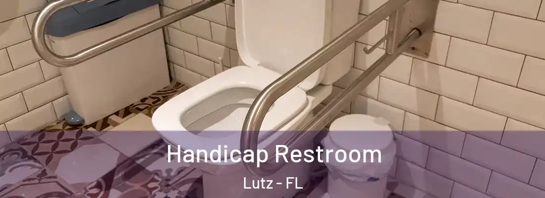  Handicap Restroom Lutz - FL