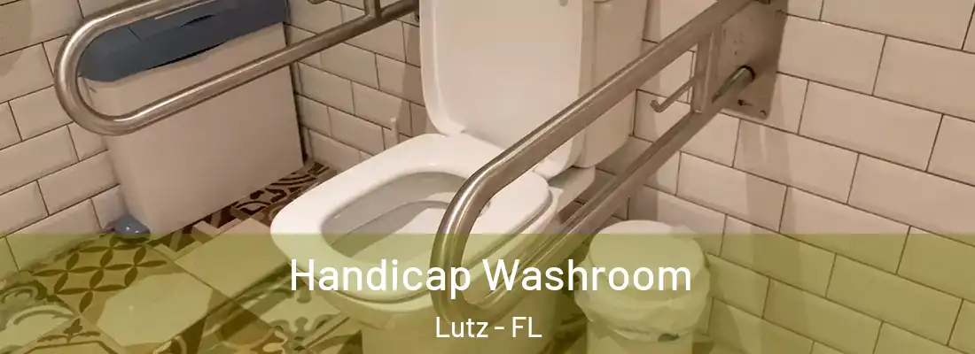  Handicap Washroom Lutz - FL