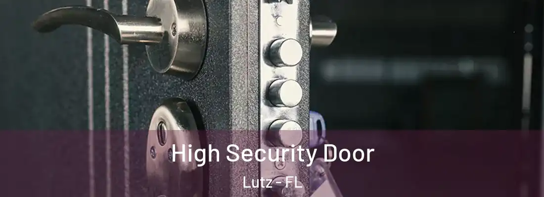  High Security Door Lutz - FL