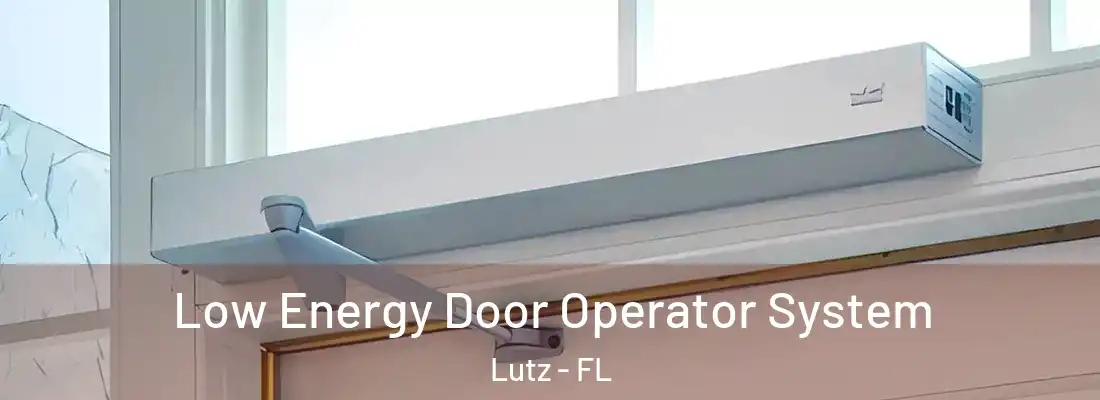  Low Energy Door Operator System Lutz - FL