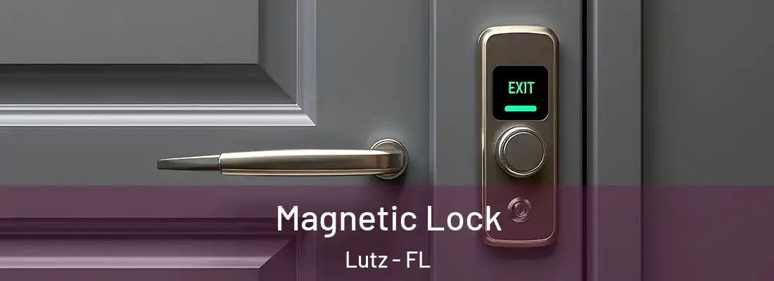 Magnetic Lock Lutz - FL