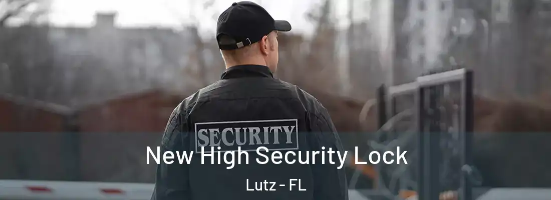  New High Security Lock Lutz - FL