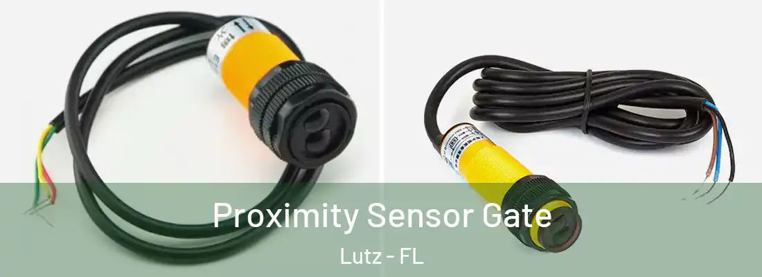 Proximity Sensor Gate Lutz - FL