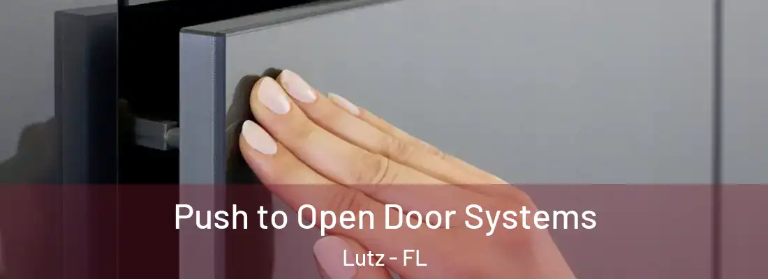  Push to Open Door Systems Lutz - FL