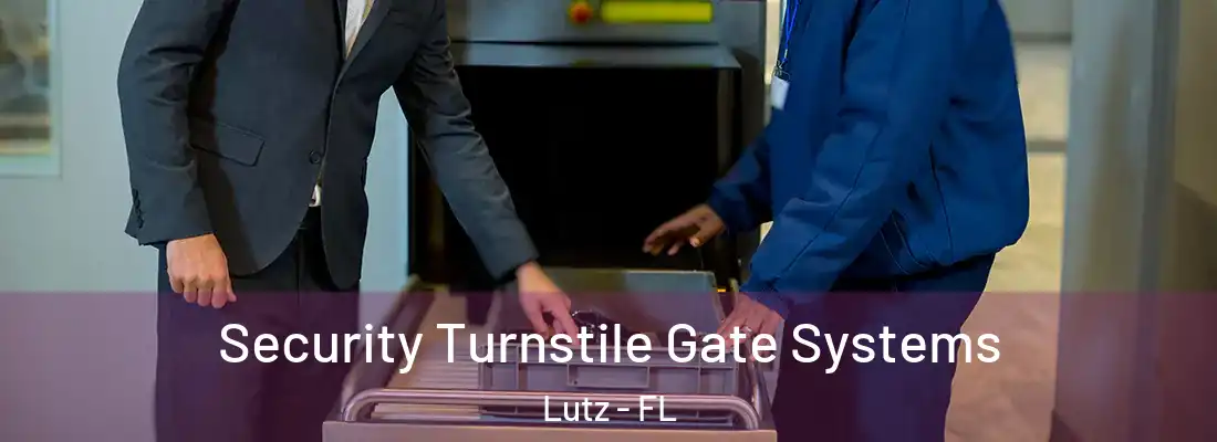  Security Turnstile Gate Systems Lutz - FL